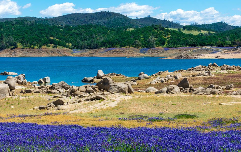 Folsom Lake State Recreation Area, California, USA